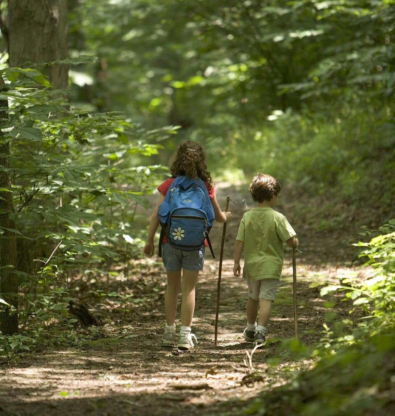 Två barn vandrar i skogen